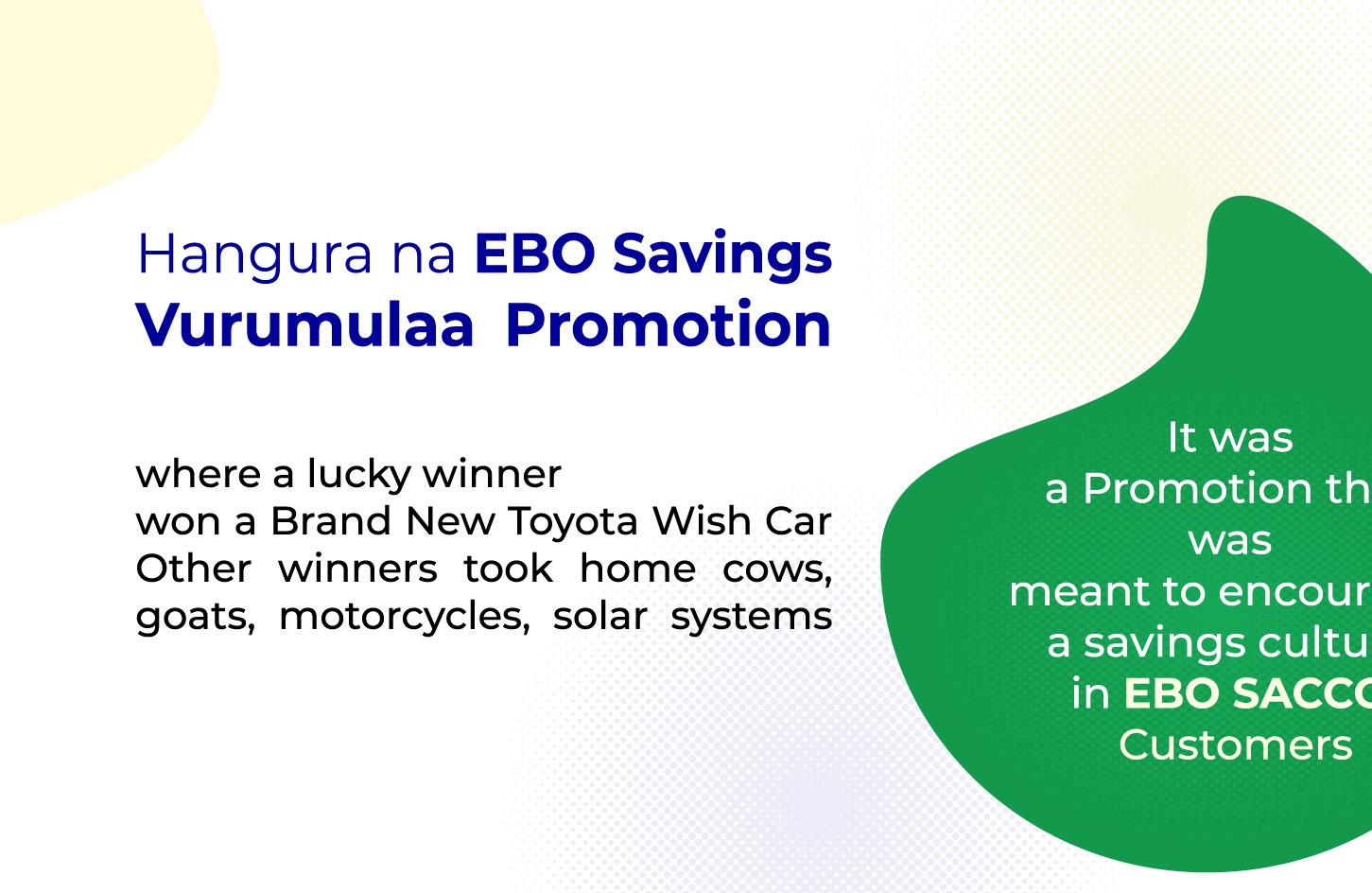 EBO Promotion